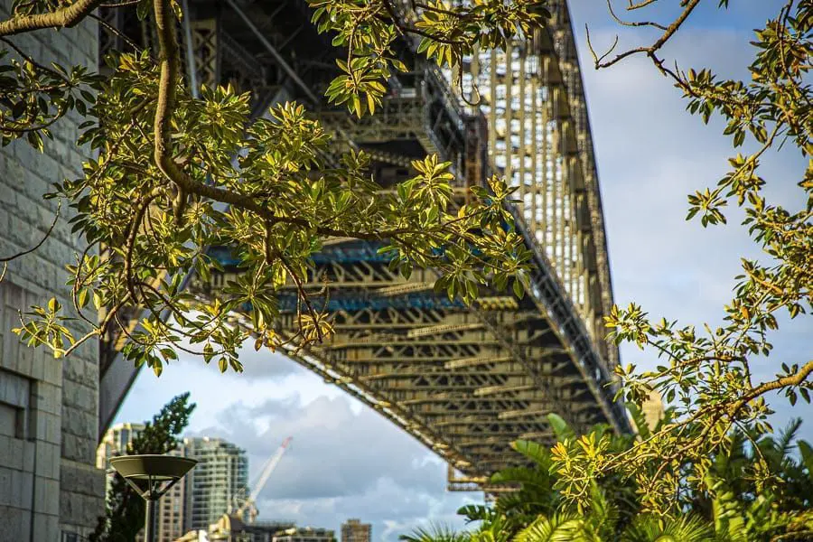 Sydney Harbour Bridge With Trees In The Foreground