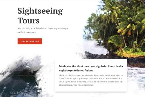 tour operator websites