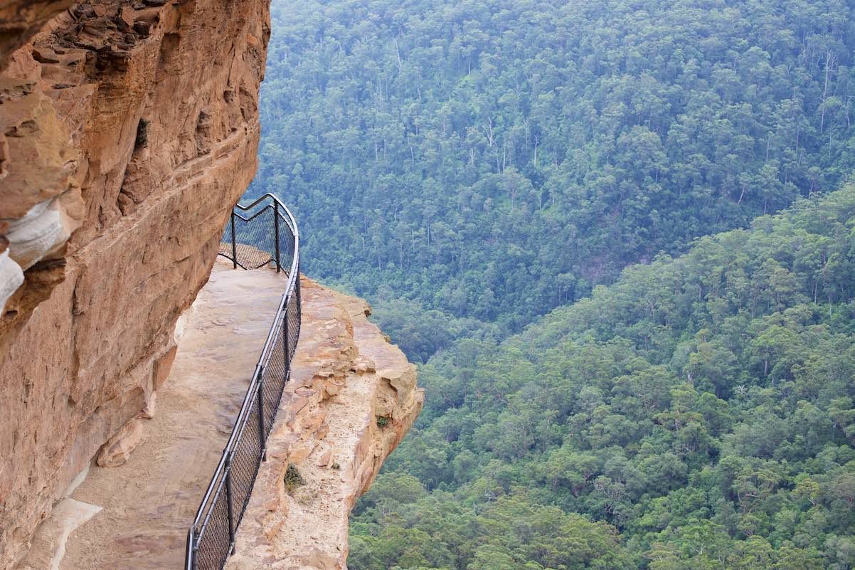 WentworthFallsTrack tourism photography and video Wentworth Falls